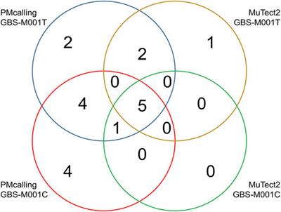 Detecting Genetic Variation of Colonizing Streptococcus agalactiae Genomes in Humans: A Precision Protocol